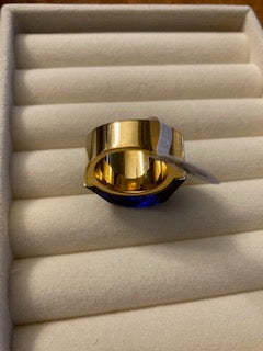 Far Fetched Gems SLP-Punk Style Ring-Stainless Steel-Glass-Gold