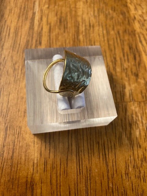 Far Fetched Gems SLP-Womens-Stainless Steel Ring-Adjustable Band